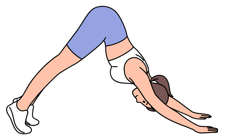 Woman doing Plank to Downward Dog exercise  Illustration