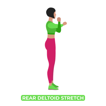 Woman Doing Rear Deltoid Shoulder Stretch  Illustration