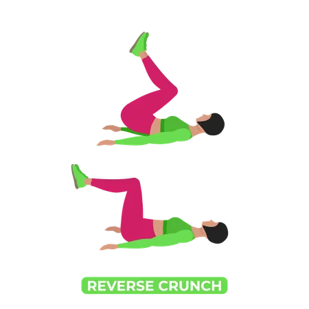 Woman Doing Reverse Crunch  Illustration