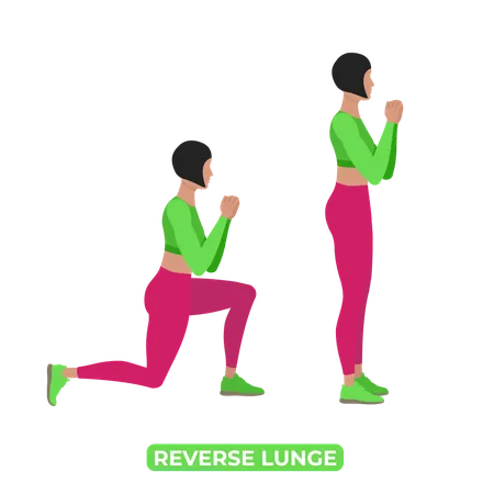 Rear Lunge Bodyweight Fitness Legs Workout Exercise An Educational Illustration On A White Background 일러스트레이션