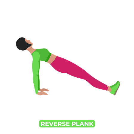 Woman Doing Reverse Plank  Illustration