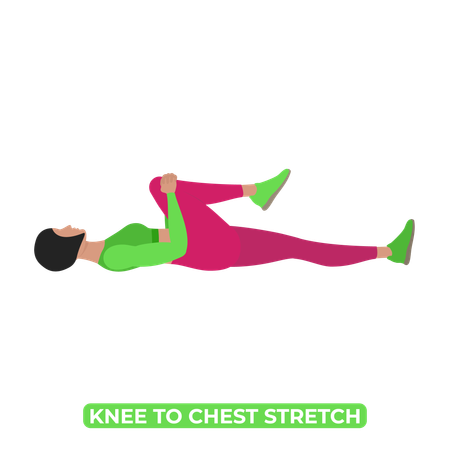 Woman Doing Single Knee To Chest Stretch  Illustration