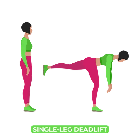 Woman Doing Single Leg Deadlift  Illustration