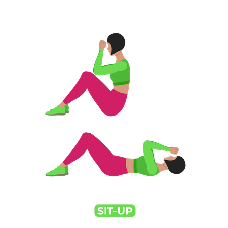 Woman Doing Sit Up  Illustration