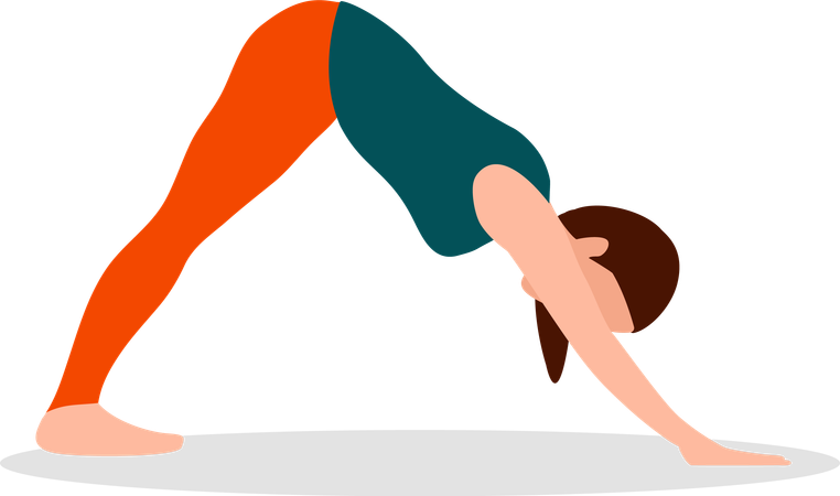 Woman Doing Standing Forward Bend Pose  Illustration