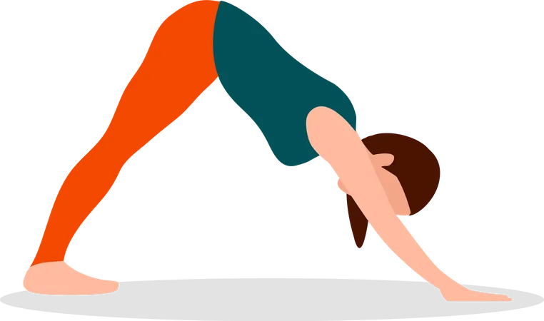 Woman Doing Standing Forward Bend Pose  Illustration