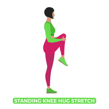 Woman Doing Standing Knee Hug  イラスト