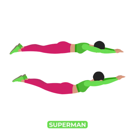 Bodyweight Fitness Back And Core Workout Exercise An Educational Illustration On A White Background Illustration