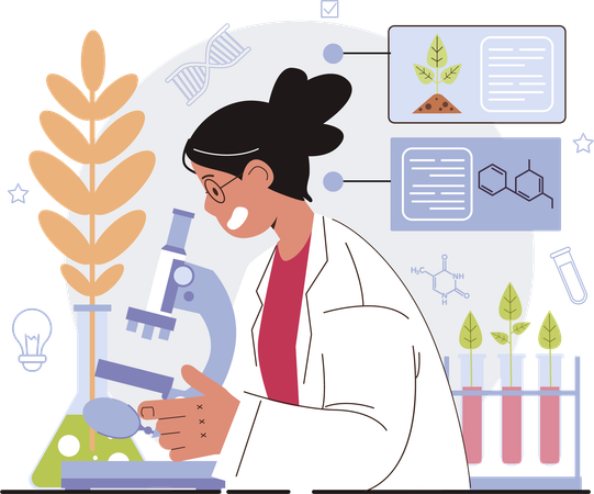 Woman doing wheat research  Illustration