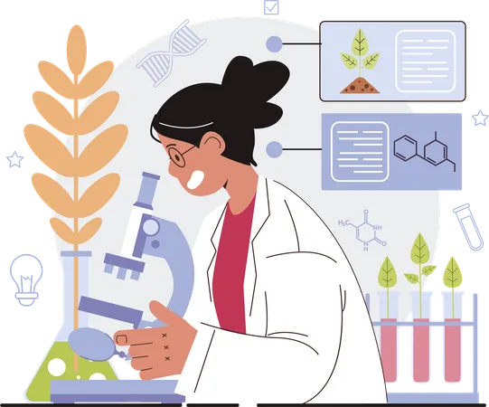 Woman doing wheat research  イラスト