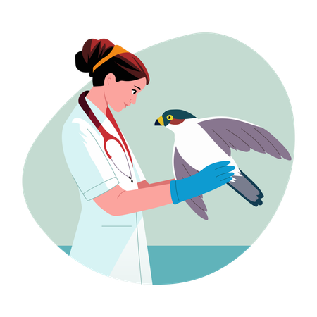 Woman doing Wildlife rehabilitation  Illustration
