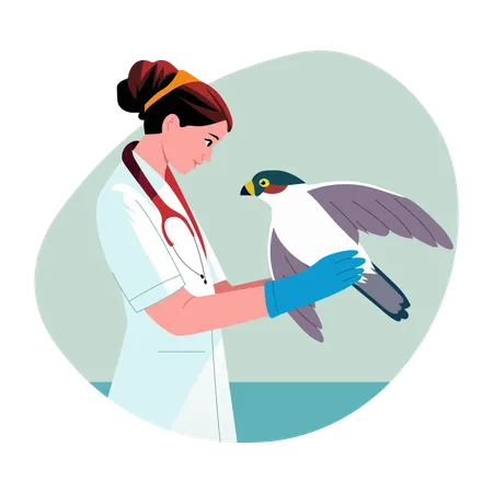 Woman doing Wildlife rehabilitation  Illustration