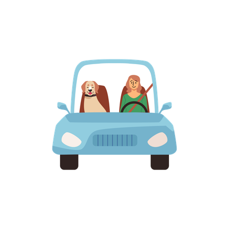 Woman driving with dog  Illustration