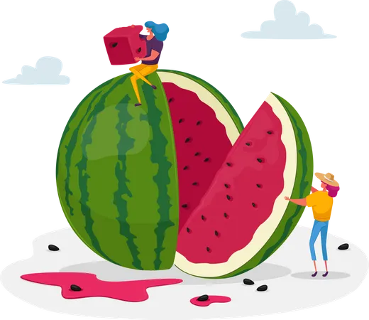 Tiny Female Characters Enjoying Refreshing Of Huge Ripe Watermelon Women Have Fun Slicing And Eating Melon Fruits Season People Relaxing On Picnic Summer Time Food Cartoon Vector Illustration 일러스트레이션