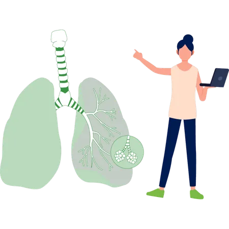 Woman explaining about lungs on laptop  Illustration