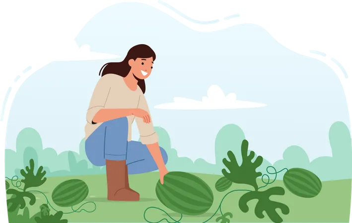 Woman Farmer collecting Watermelon  Illustration