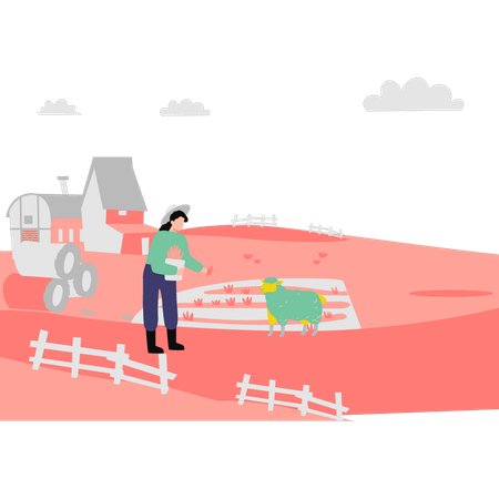 Woman farmer feeding sheep  Illustration