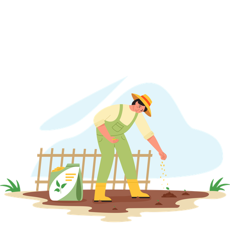 Woman farmer sowing fertilizer into rice fields  Illustration