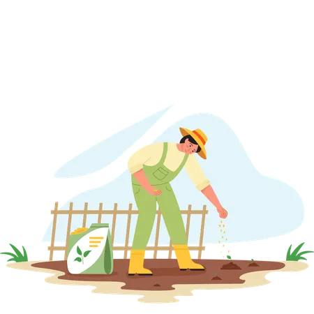 Woman farmer sowing fertilizer into rice fields  Illustration