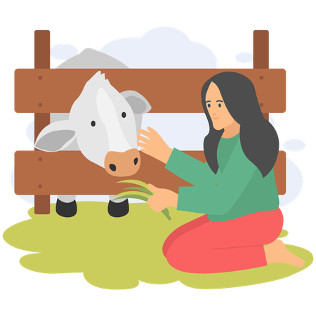 Woman feeding cow  Illustration