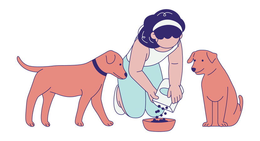 Woman Feeding Dogs  Illustration