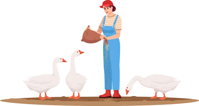 Woman Feeding Ducks Woman Feeding Rooster Woman Feeding Hen Woman Feeding Geese Illustration