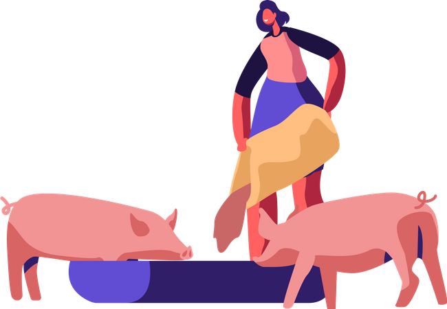 Woman Feeding Pigs Putting Grain in Trough Illustration