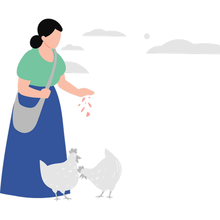 Woman feeding the chickens  Illustration