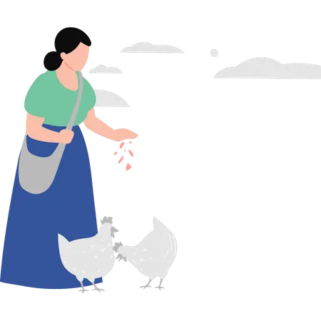 The Woman Is Feeding The Chickens Illustration