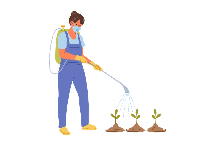 Woman gardener sprays weedkiller and pesticides on plants to speed up growth and kill insects  Illustration