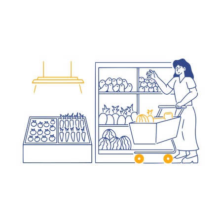 Woman Groceries Shopping  Illustration