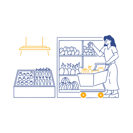 Woman Groceries Shopping  Illustration