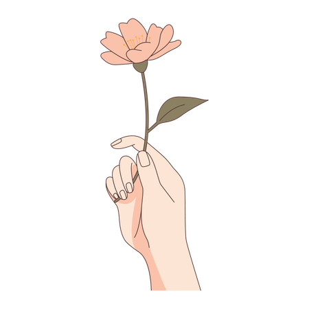 Woman Hand Holding Beautiful Flower Floral  Illustration