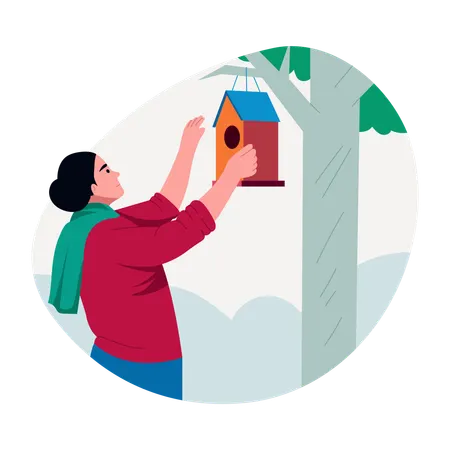 Woman Hanging birdhouse  Illustration
