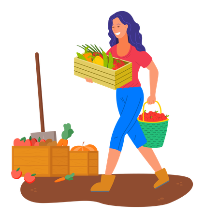 Woman harvesting at farm  イラスト