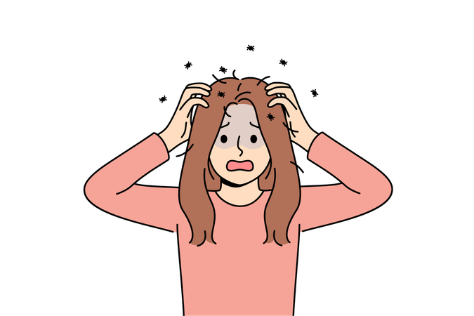Woman has contracted lice and is itching due to lice crawling through hair and needs medication  Illustration