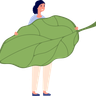 illustrations for lettuce