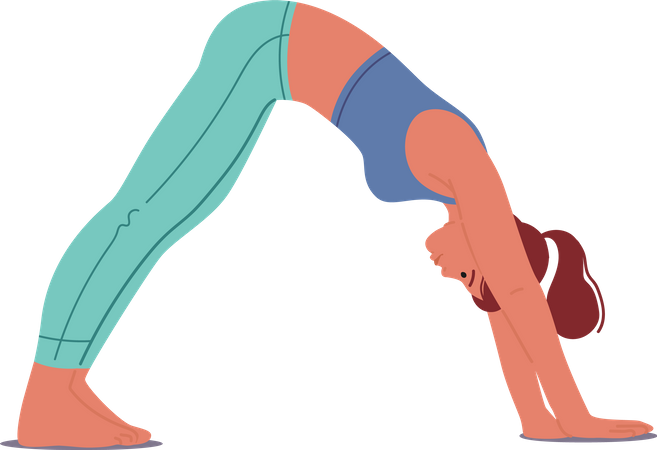 Woman In Parvathasana Yoga Pose  Illustration