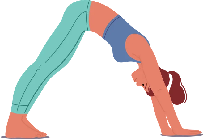 Woman In Parvathasana Yoga Pose Also Known As Downward Facing Dog Hands And Feet On The Ground Hips High Forming An Inverted V Shape Elongating Spine And Stretching The Body Vector Illustration Illustration