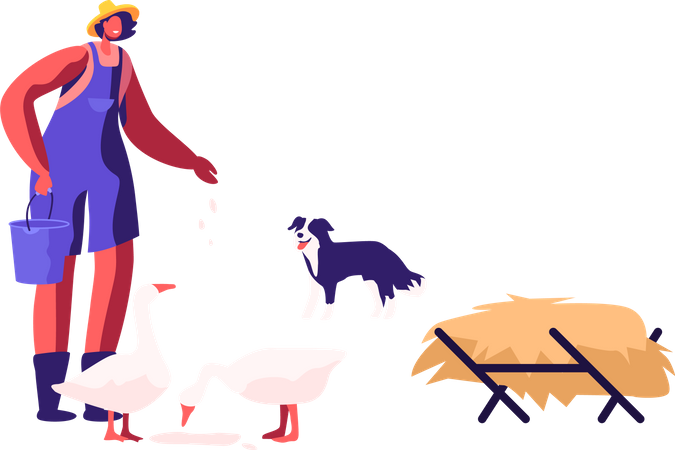Woman in Working Robe Feeding Geese and Dog Stand nearby Illustration