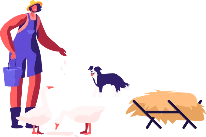 Woman in Working Robe Feeding Geese and Dog Stand nearby  Illustration