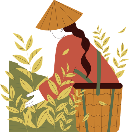 Woman is collecting garbage  Illustration