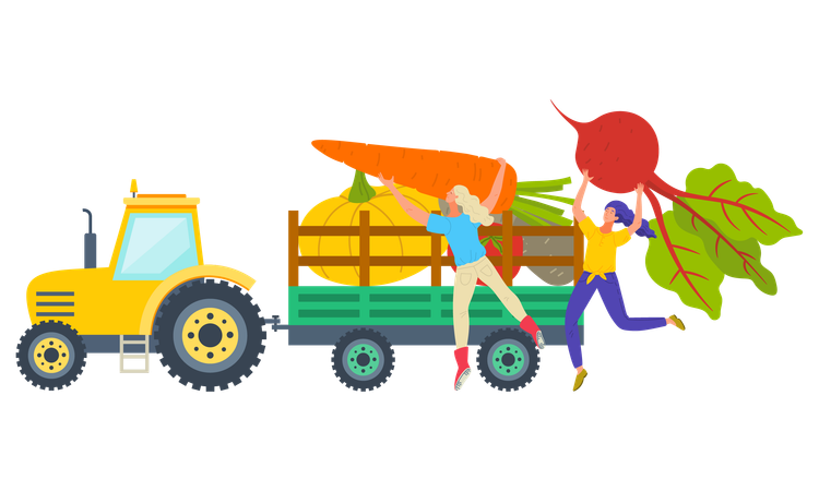 Woman is loading all vegetables in truck  일러스트레이션