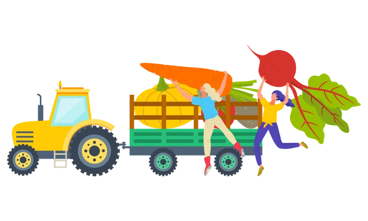 Woman is loading all vegetables in truck  イラスト