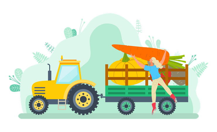 Woman is loading gardening fruits in truck  Illustration