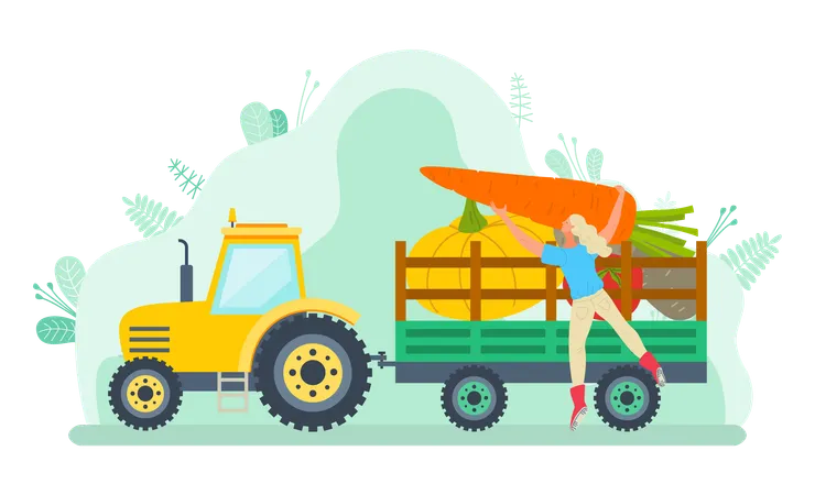 Woman is loading gardening fruits in truck  Illustration