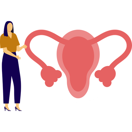 Woman is pointing human uterus  Illustration