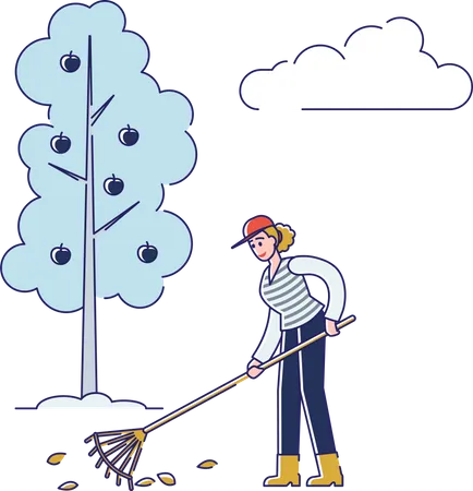 People Gardening Woman Is Raking Leaves Take Care Of Apple Orchard Agriculture And Garden Job Young Smiling Volunteer Is Working Outdoors Cartoon Linear Outline Flat Style Vector Illustration Illustration