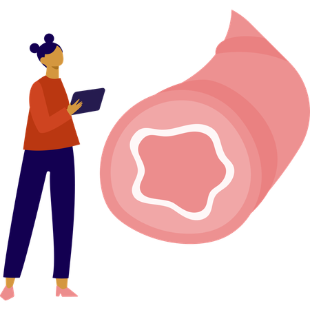 Woman is showing human bronchioles  Illustration