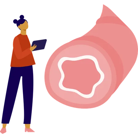 Woman is showing human bronchioles  Illustration